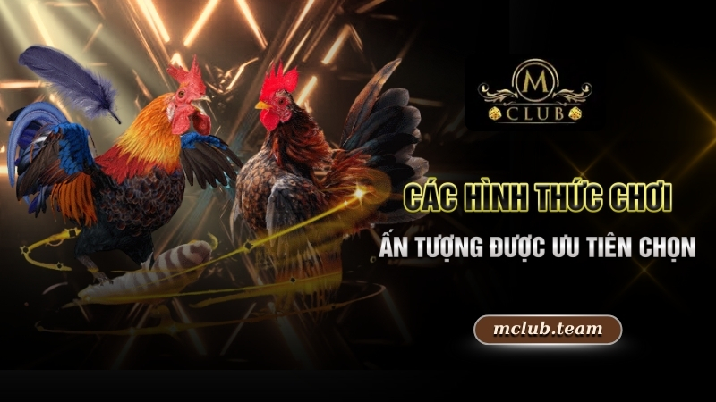Các hình thức chơi ấn tượng được ưu tiên chọn