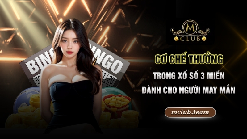 Xổ Số 3 Miền - Phương Pháp Đổi Đời Dành Cho Mọi Người Chơi 4 Cơ chế thưởng trong xổ số 3 miền dành cho người may mắn