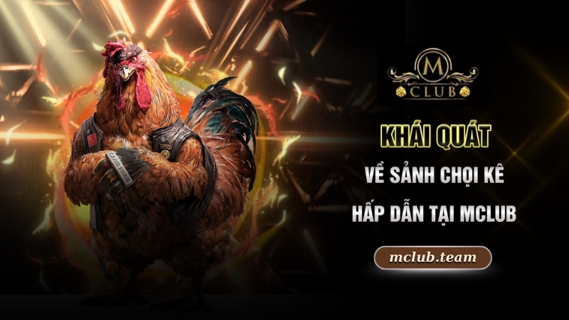 Khái quát về sảnh chọi kê hấp dẫn tại Mclub