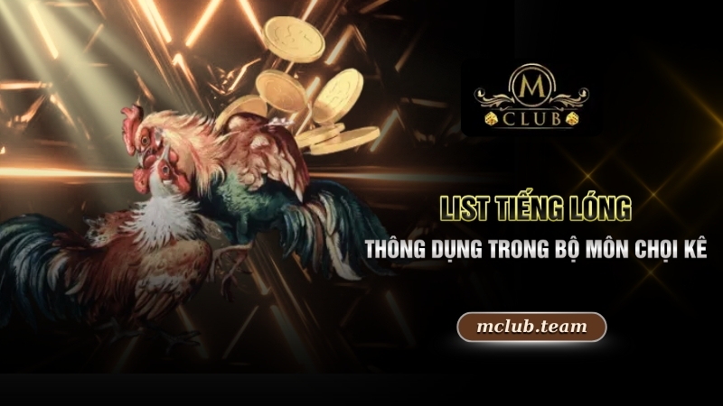 Video Đá Gà - Khám Phá Đấu Trường Chọi Kê Xanh Chín No.1 2 List tiếng lóng thông dụng trong bộ môn chọi kê