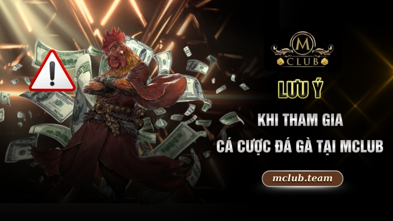 Kinh Nghiệm Chơi Đá Gà Thomo - Chiến Thuật Hay, Rinh Quà Lớn 4 Lưu ý khi tham gia cá cược đá gà tại Mclub