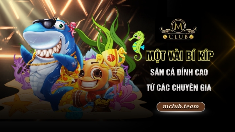 Một vài bí kíp săn cá đỉnh cao từ các chuyên gia