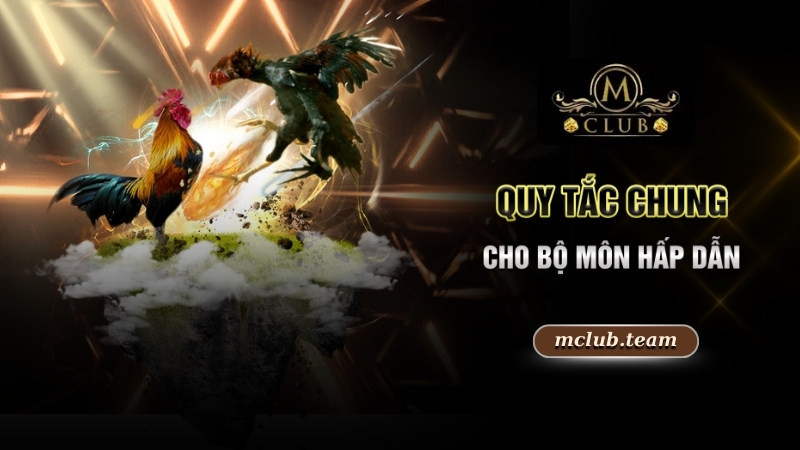 Đá Gà Thomo Trực Tuyến - Trải Nghiệm Đẳng Cấp Bậc Nhất 2 Quy tắc chung cho bộ môn hấp dẫn