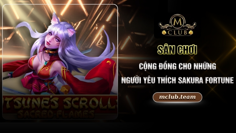 Sân chơi cộng đồng cho những người yêu thích Sakura Fortune