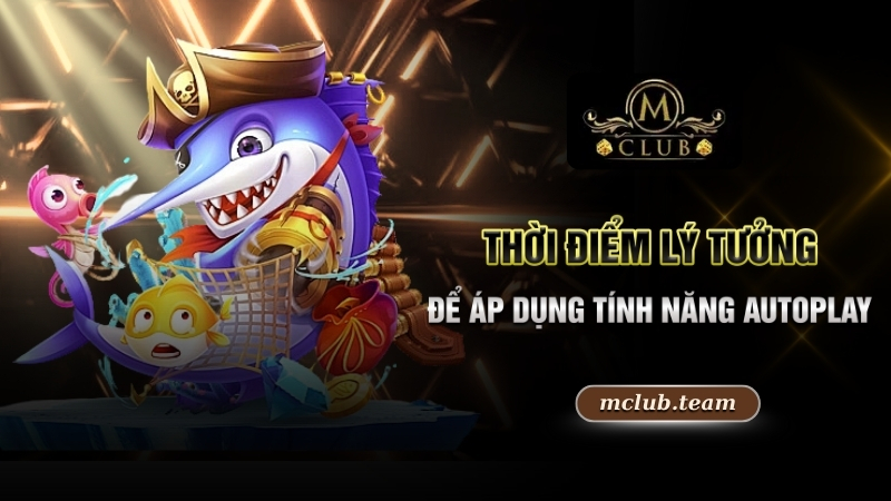 Thời điểm lý tưởng để áp dụng tính năng Autoplay